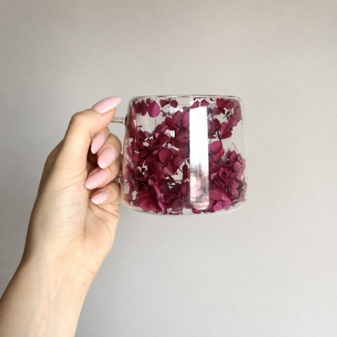 Szklanka termiczna kwiaty w środku HORTENSJA Burgund 180ml Podwójne dno